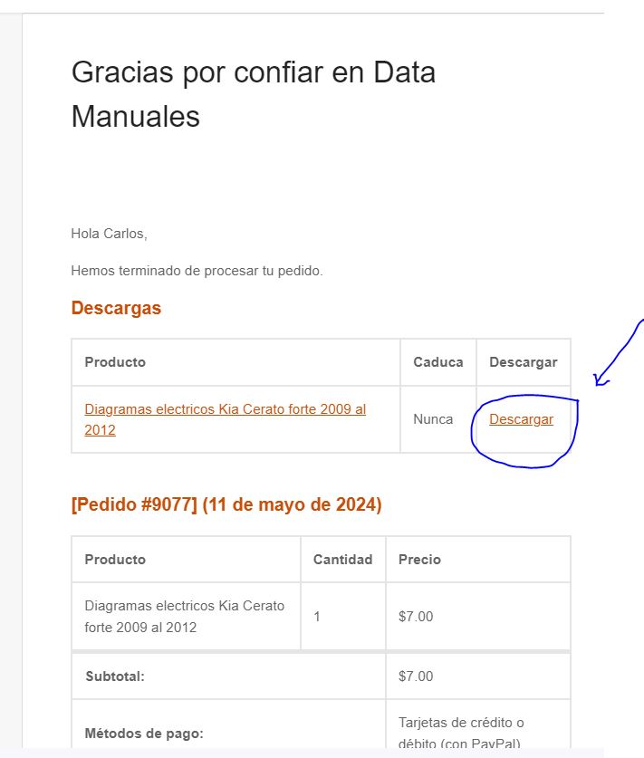 Descargar archivo comprado en data manuales