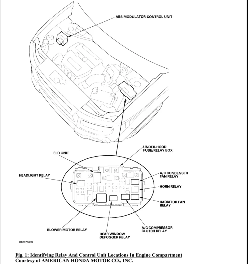 Wiring Diagrams Honda Element EX 2004 download pdf